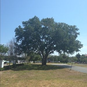 Meet your Posher, Kaley